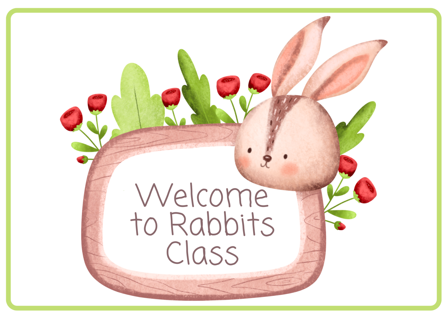 Rabbits class