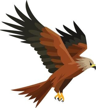 Kite