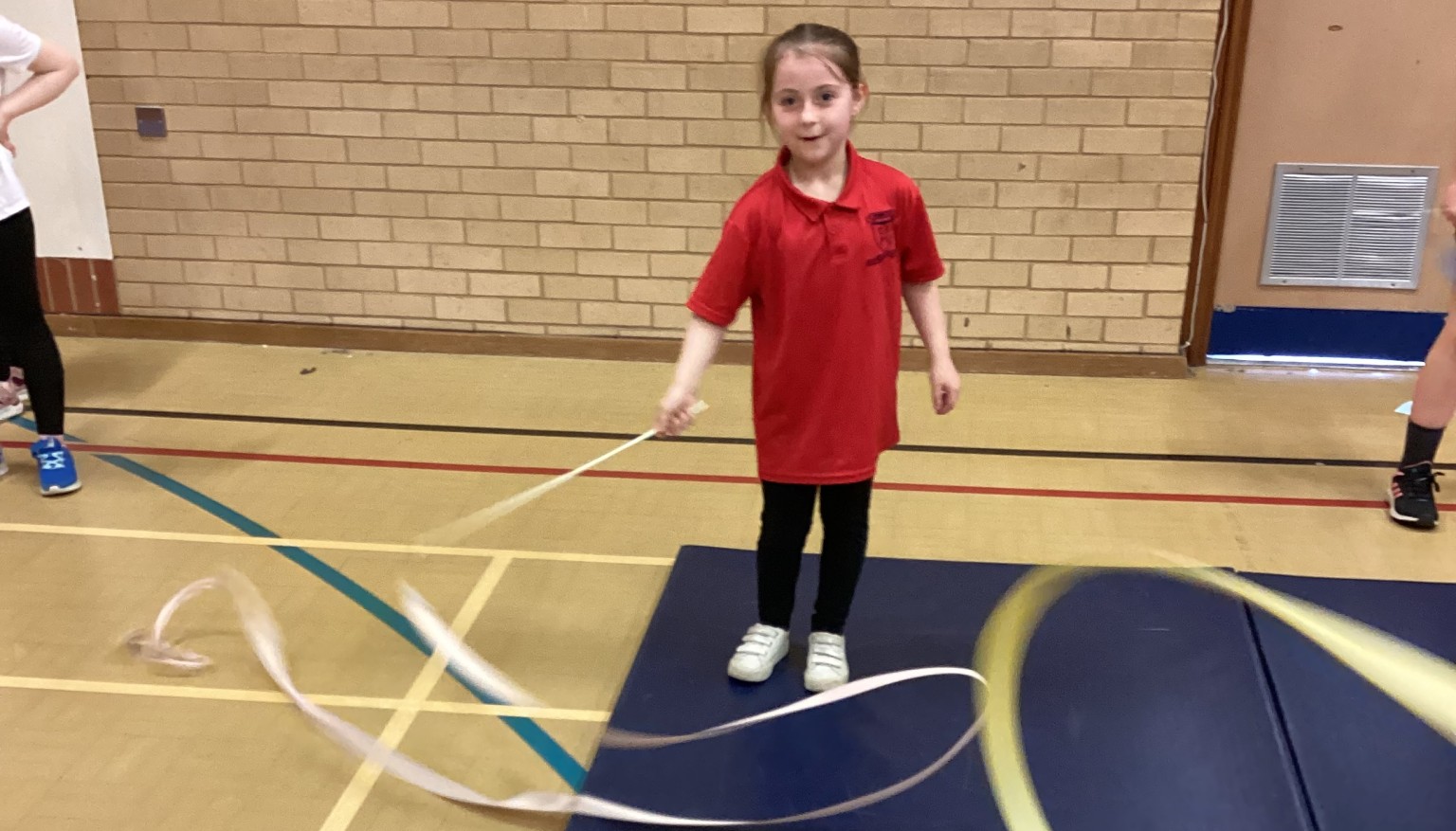 Gymnastics Development session.