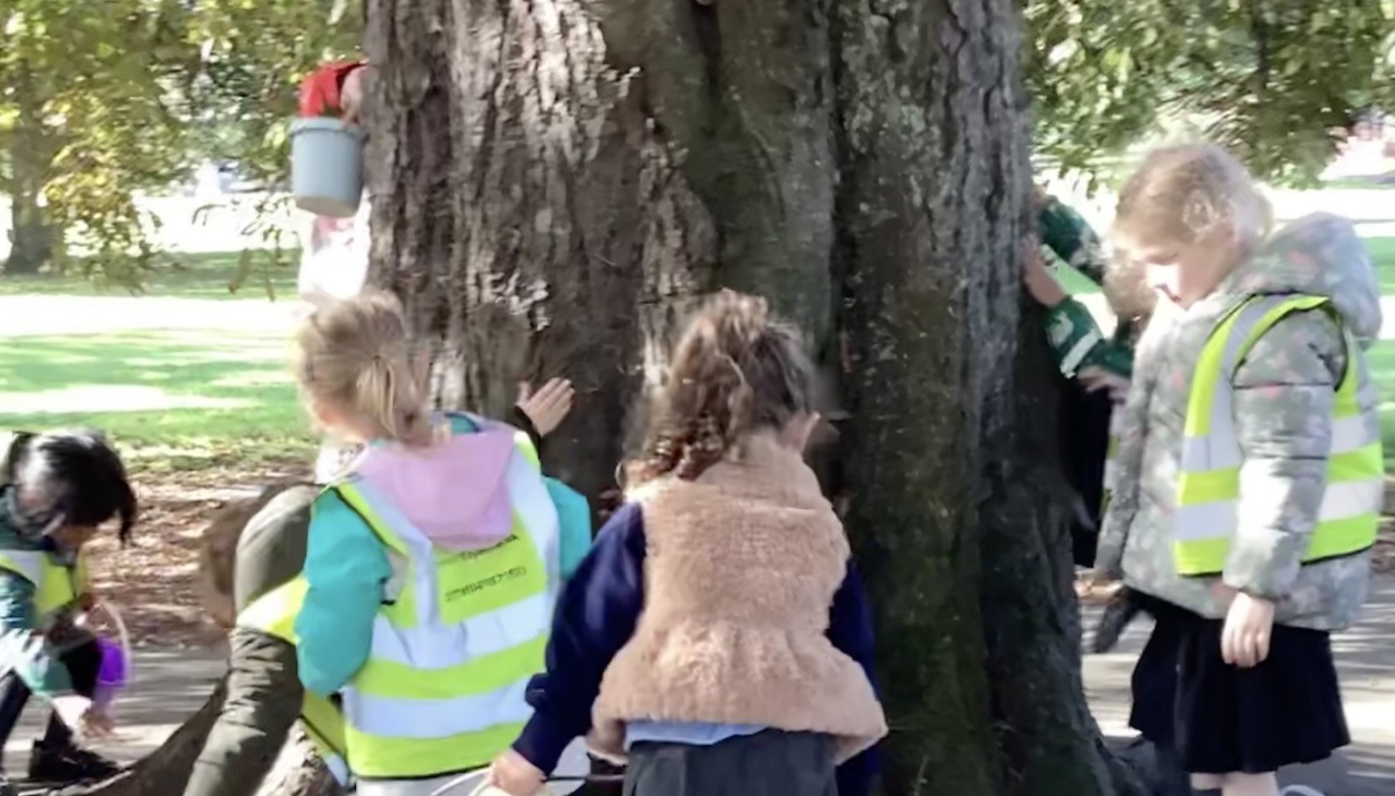On our Wellie walk we discussed what we could see, hear, smell and feel whilst on our walk. We also explored what autumnal signs we are starting to see and collected them for our art table.