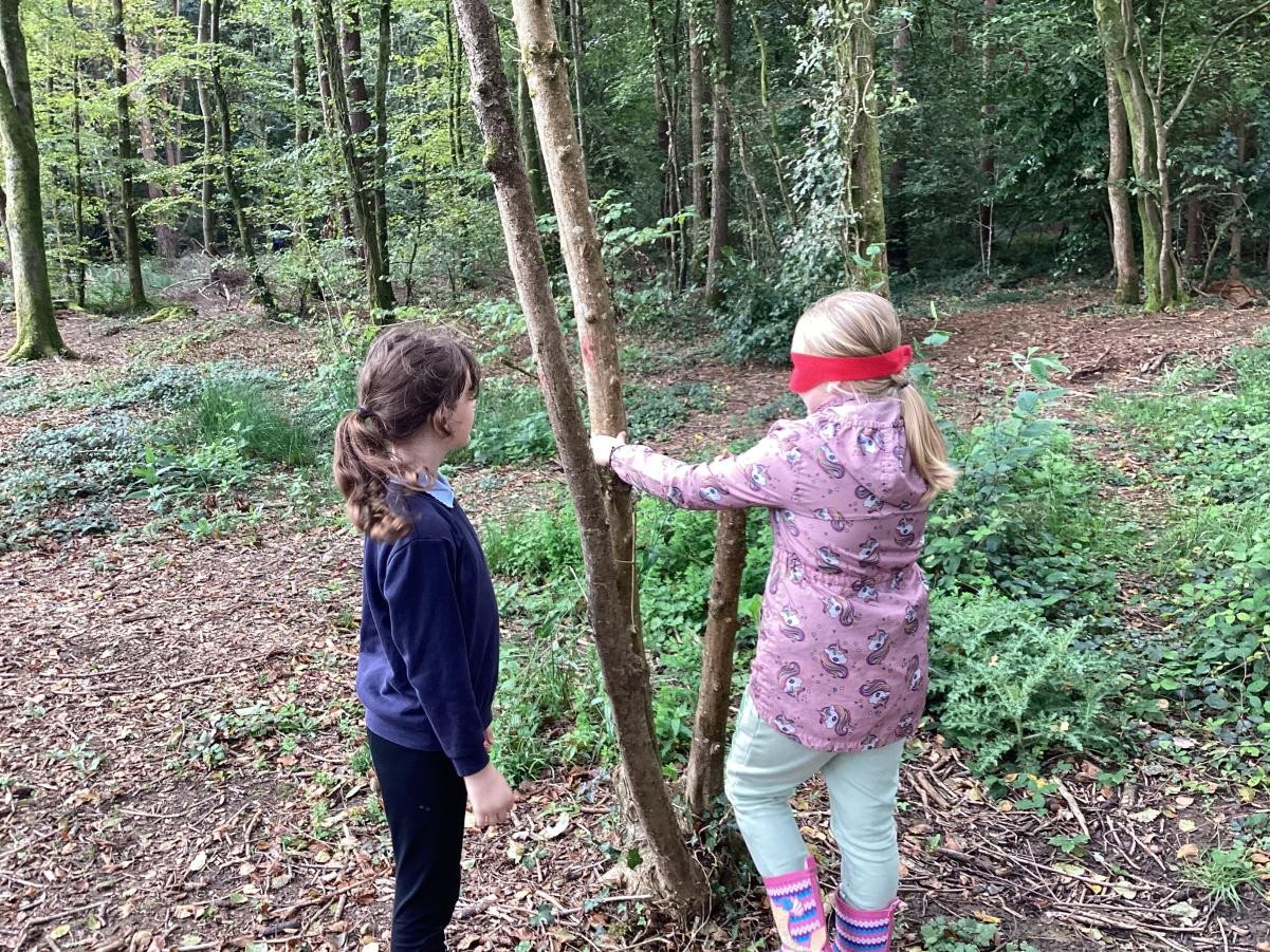 Stover Regeneration Project