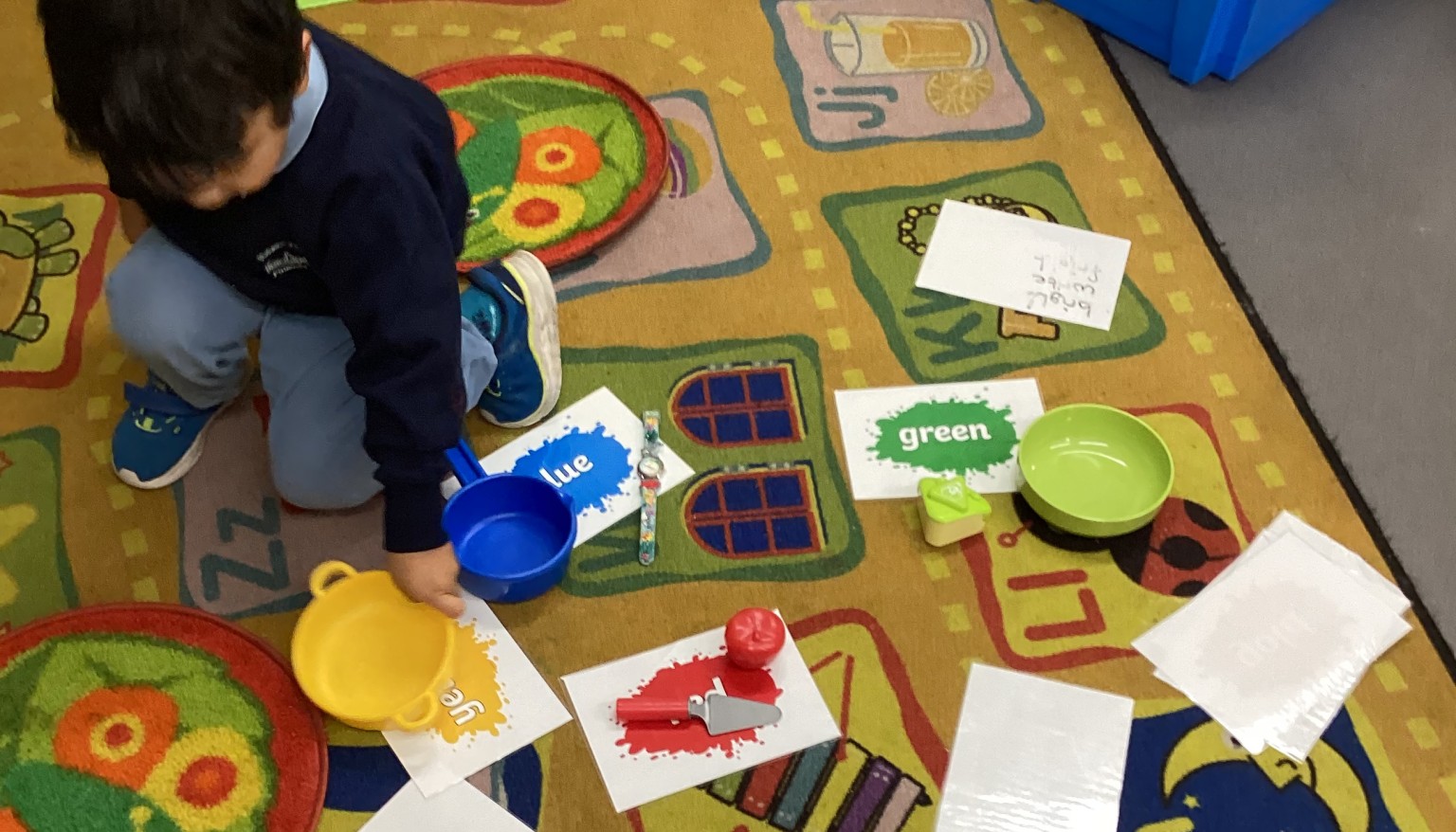 Acorns Maths: Sorting and learning colours