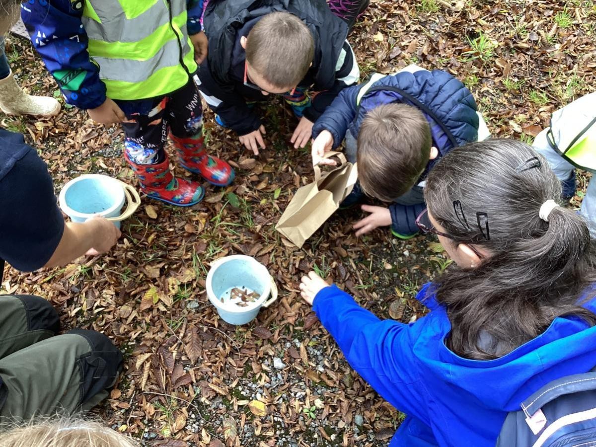 Outdoor Learning