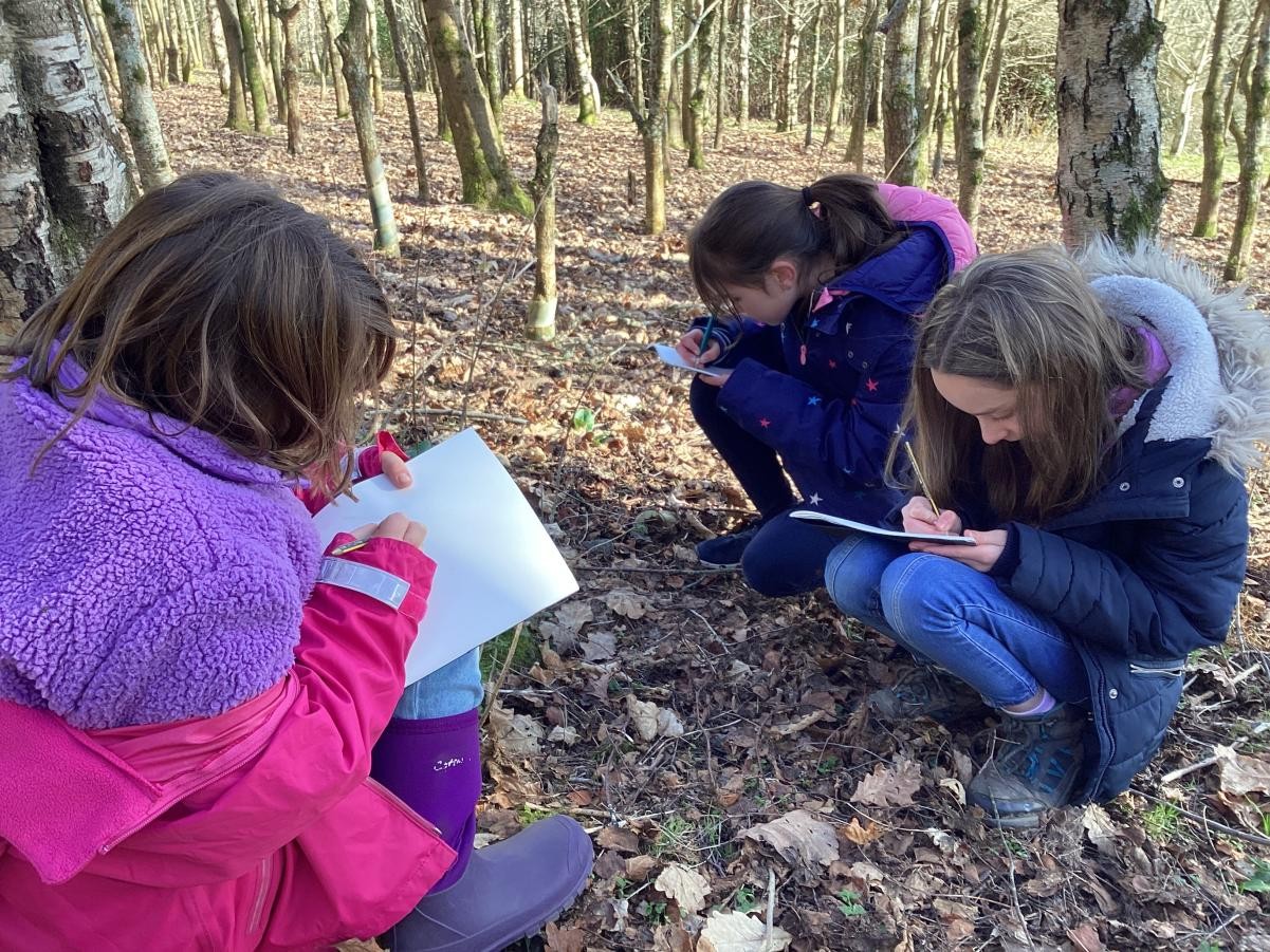 Observational drawing in Outdoor Learning. 