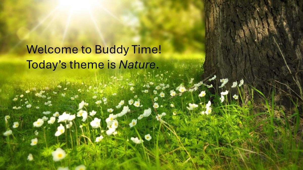 We have buddy time each Thursday where we discuss 'Big Ideas' and our school values.