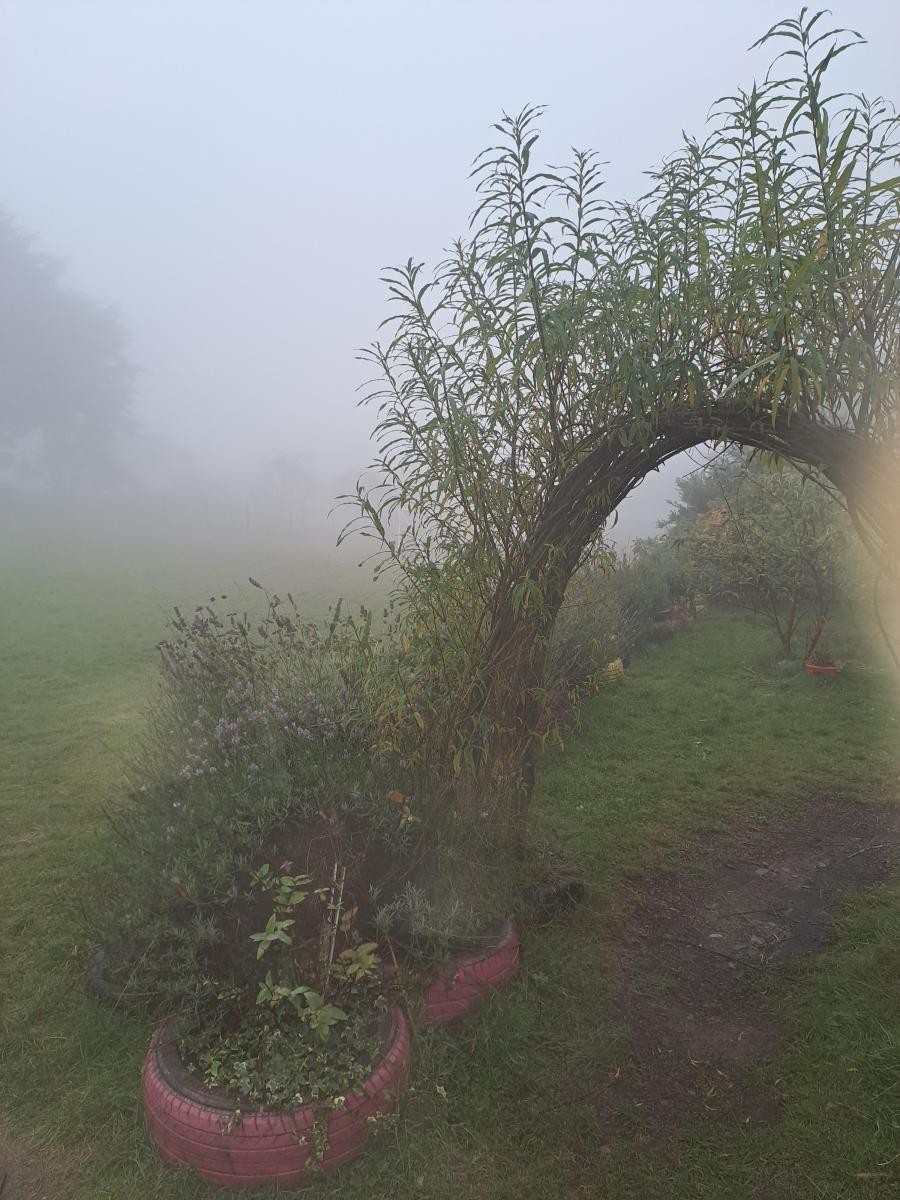  The sensory garden