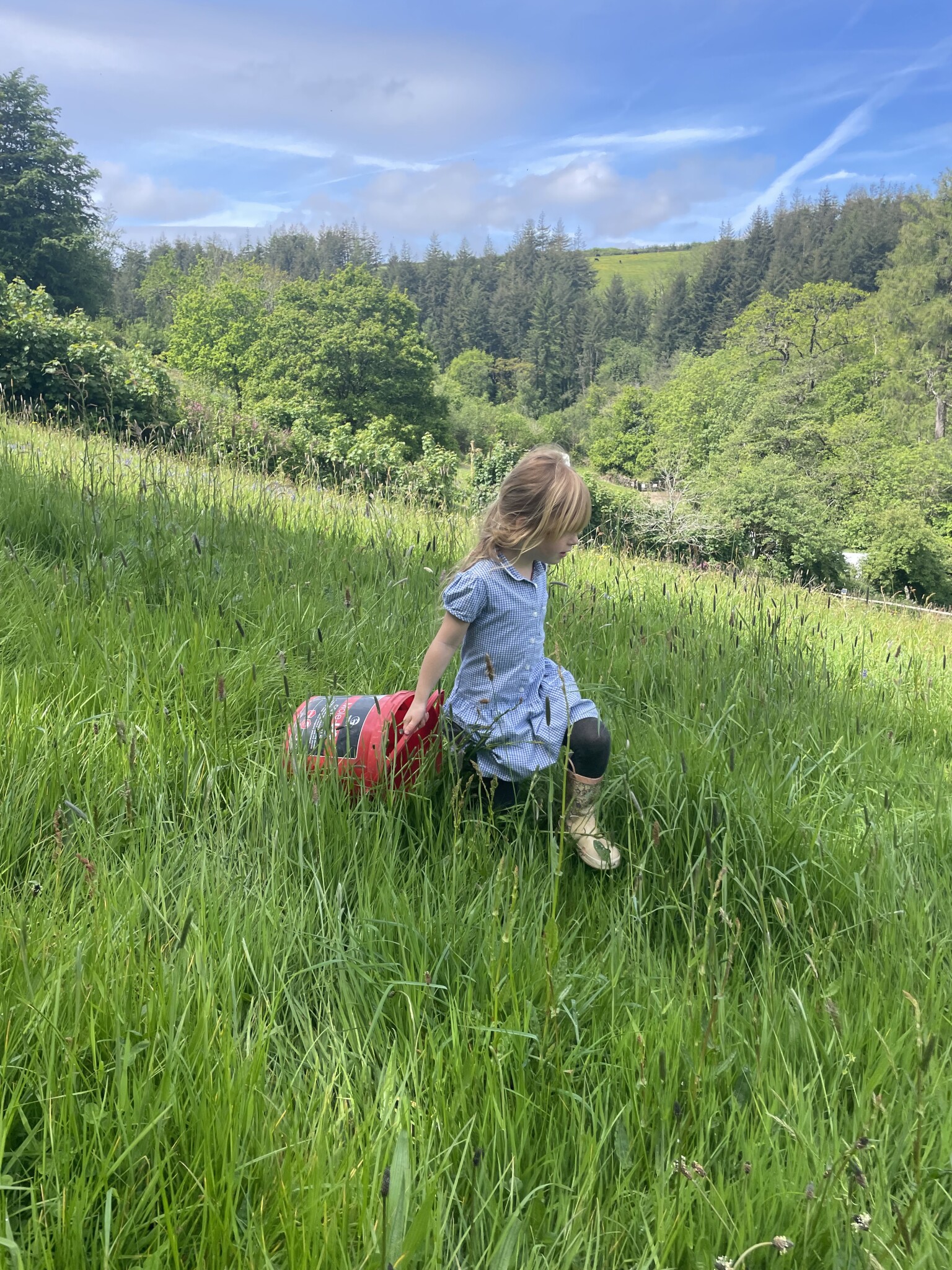 Dartmoor