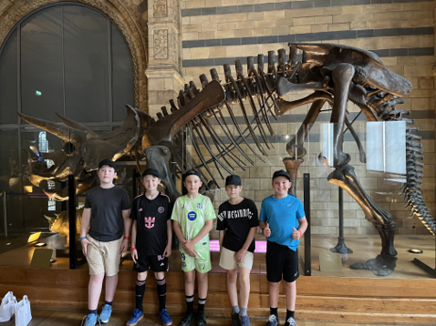 Natural History Museum