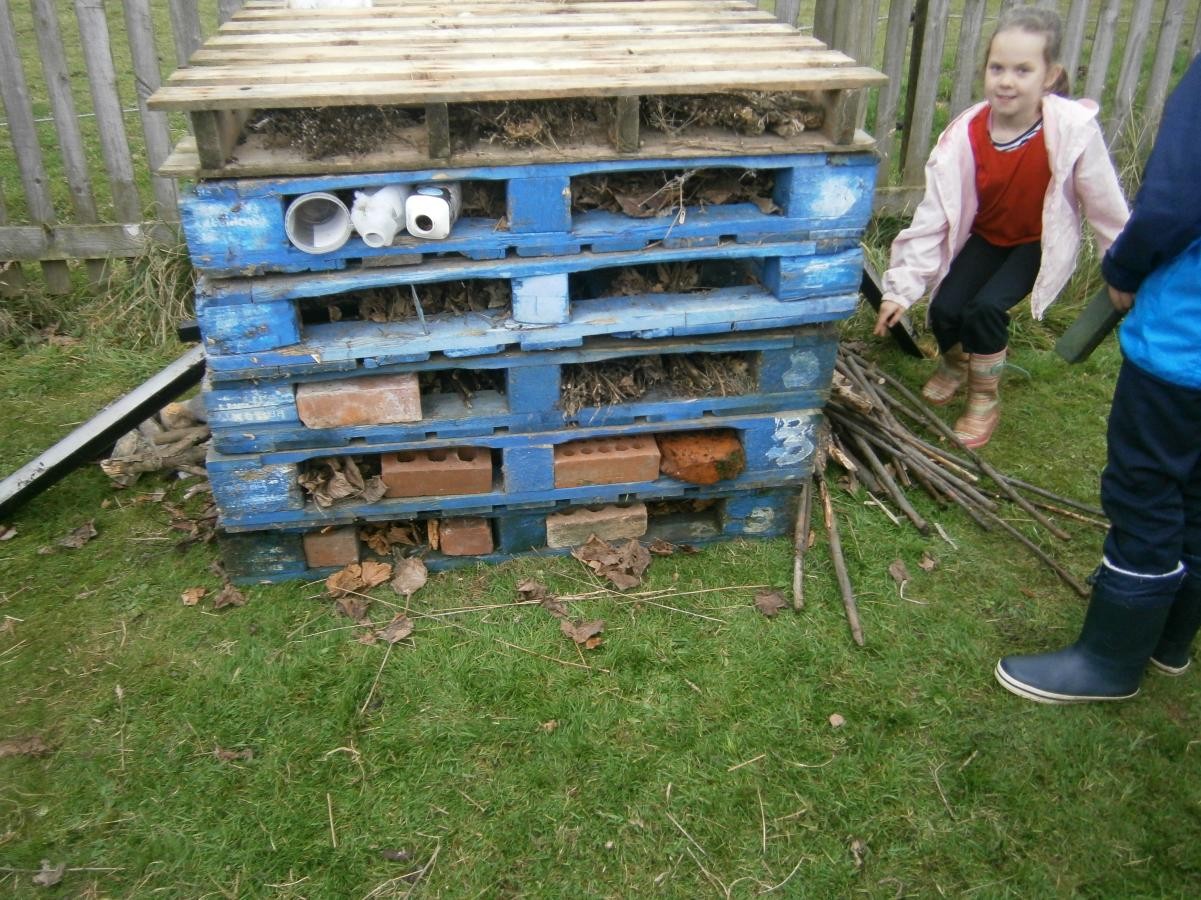 One magnificent  bug hotel.