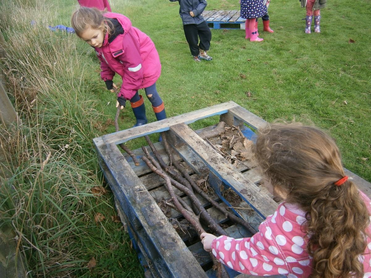 Sticks for ladybirds to hibernate in.