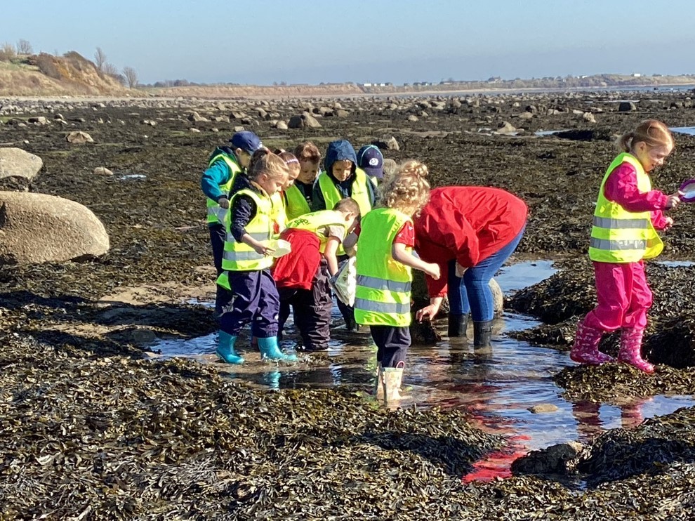 Beach combing
