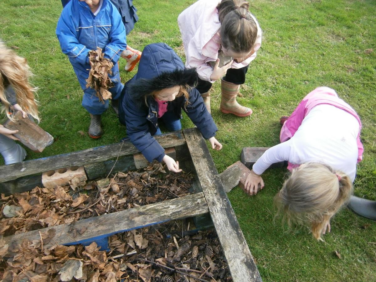 Leaf litter layer to mimic the forest floor.