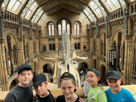 Natural history museum