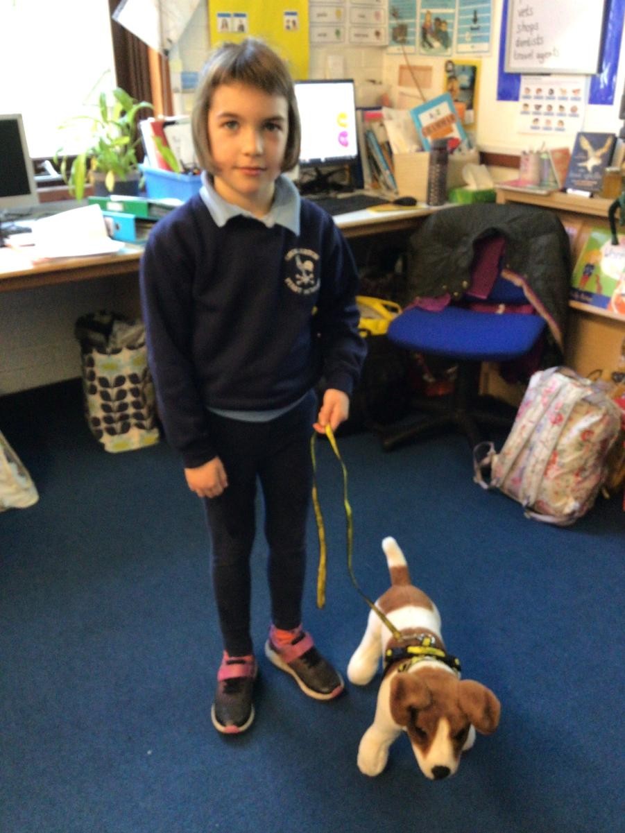 Dog's Trust Workshop