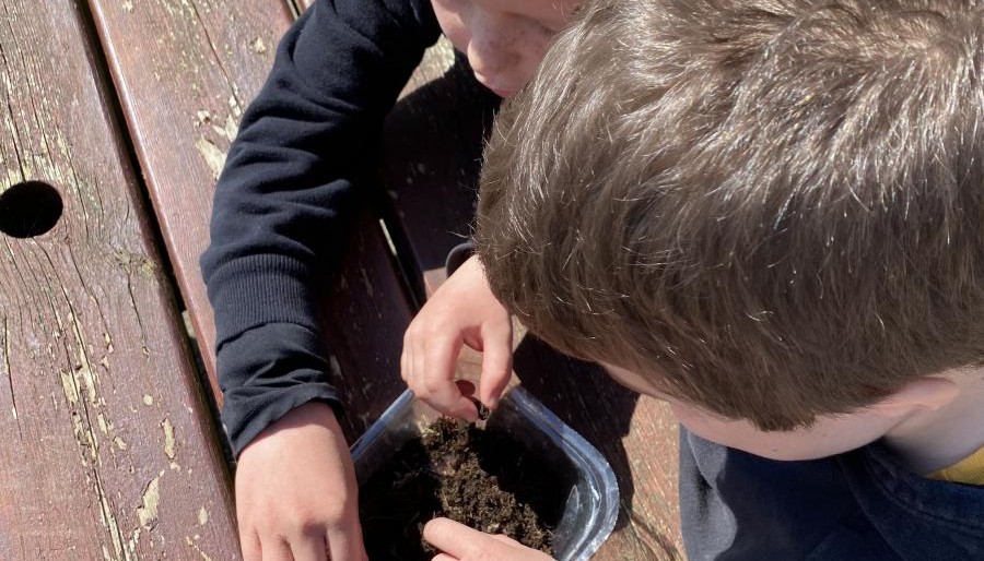 Children looking at a tub of soil 