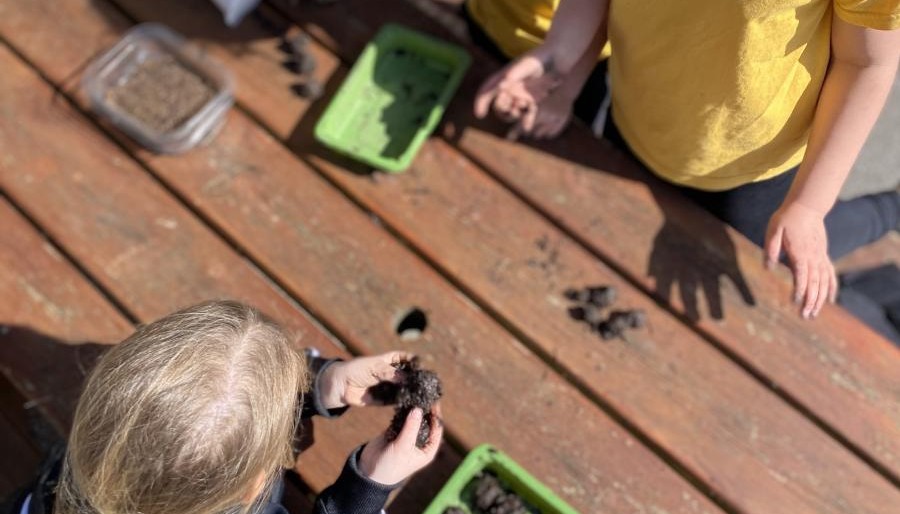 Children exploring outdoors