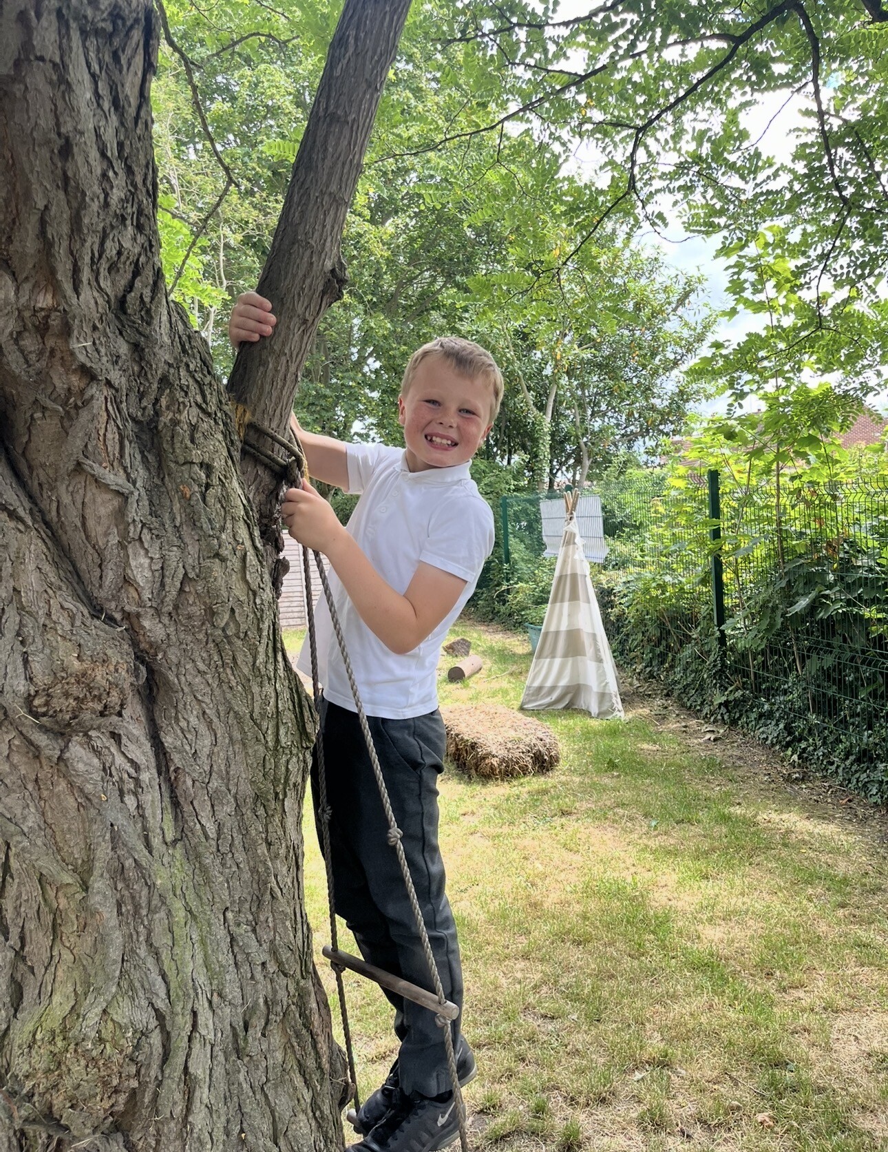 Tree Climbing