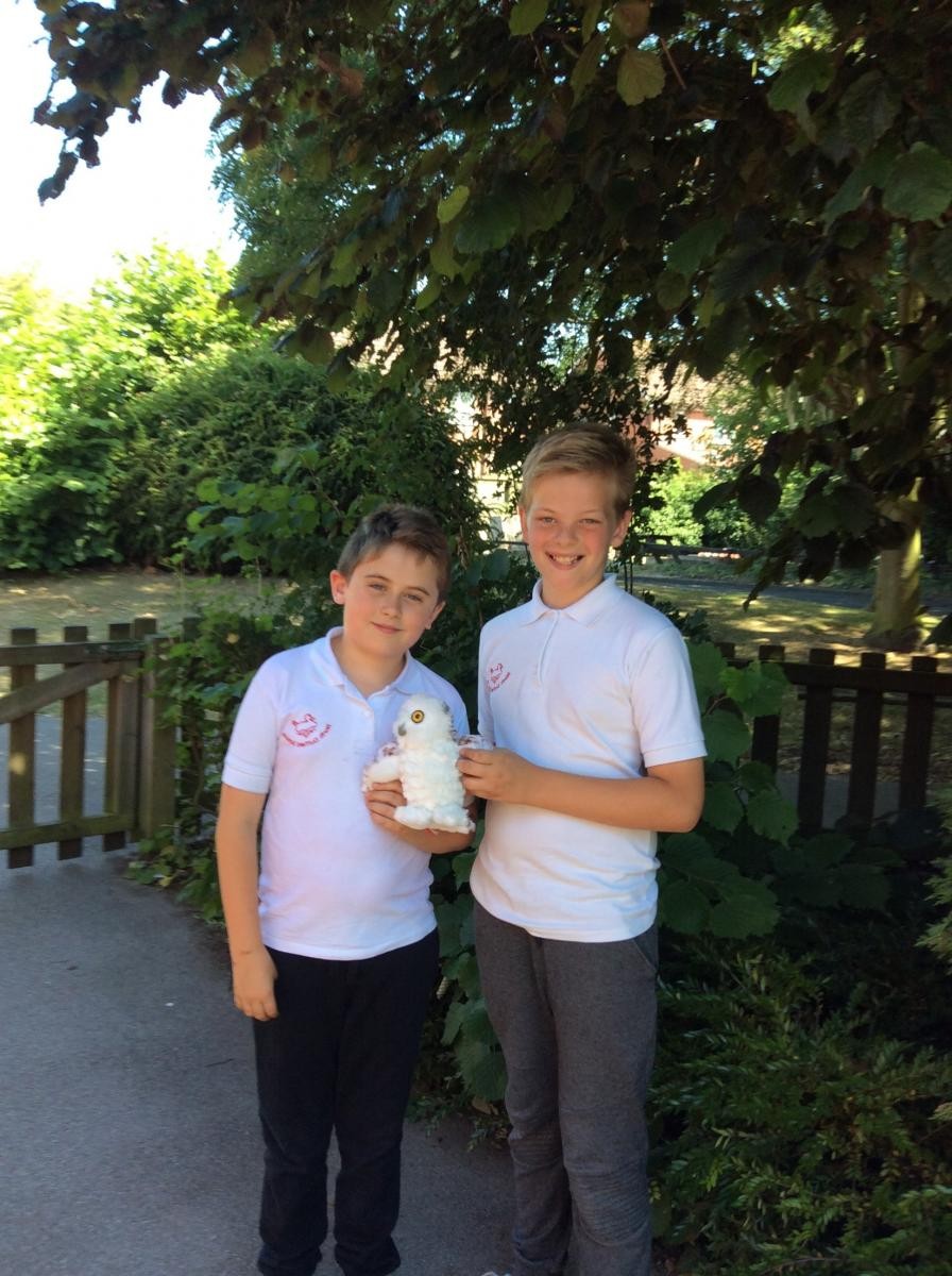 Mirror the Owl is reflective!
‘When you reflect upon your work it helps you to do harder work’
(Emma Year 6)
