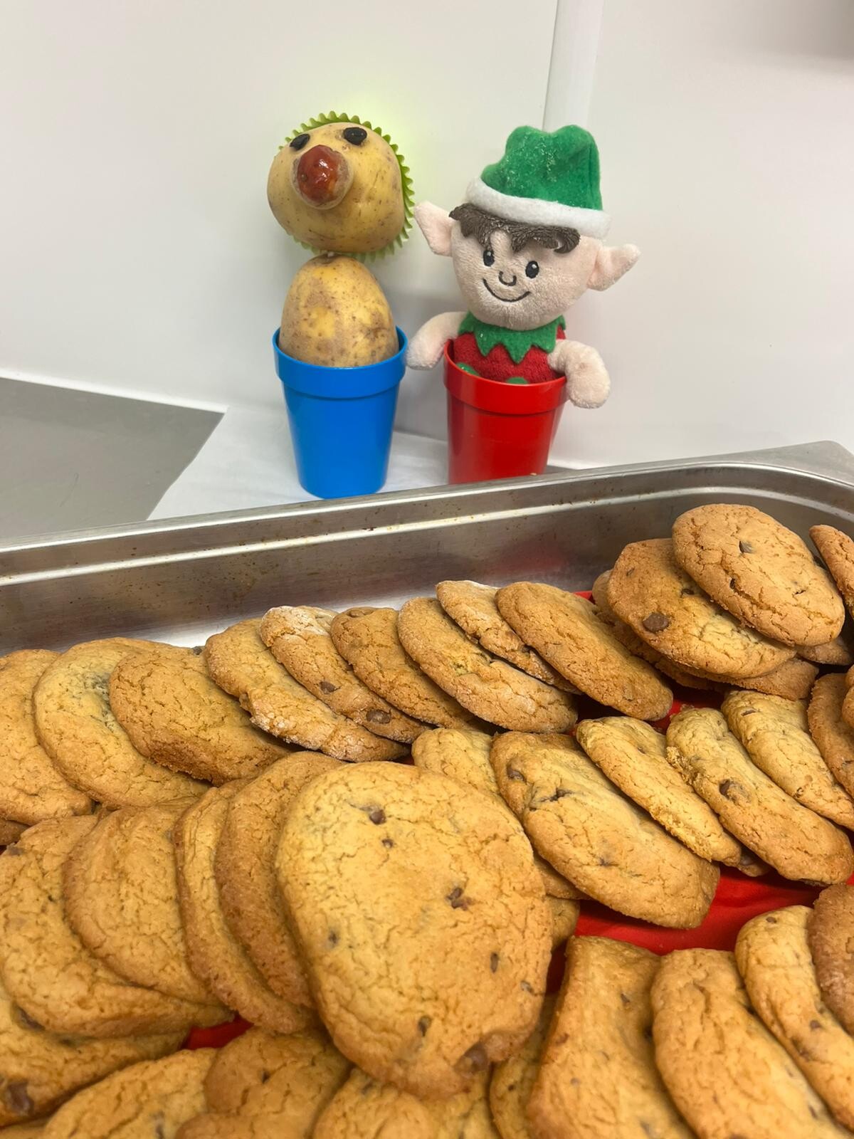 Elf cookies 