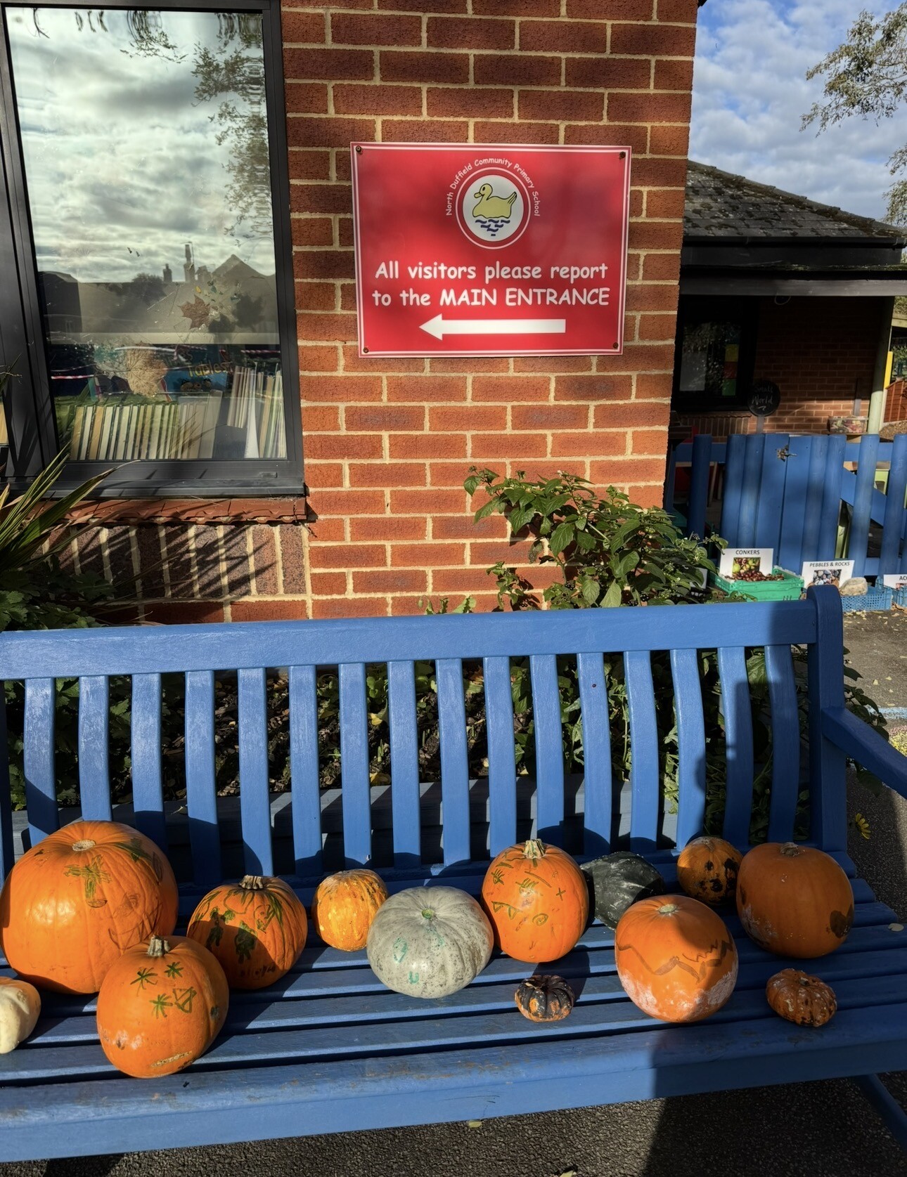 Pumpkins
