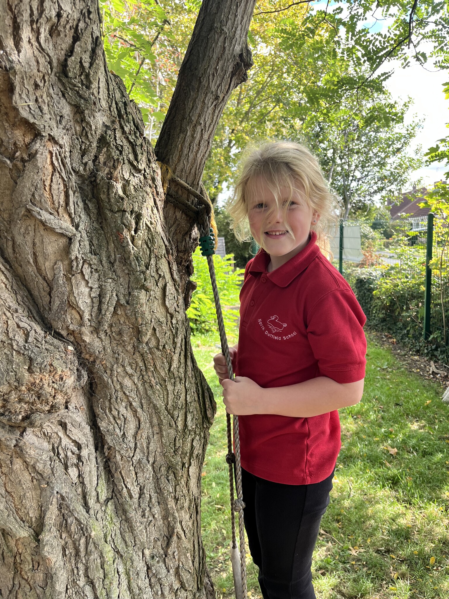 Tree Climbing