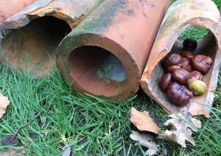 Homes for Wildlife