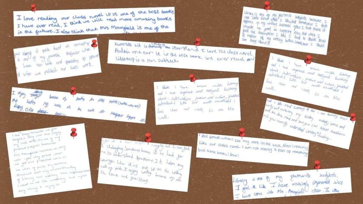 Literacy - Pupil Voice
