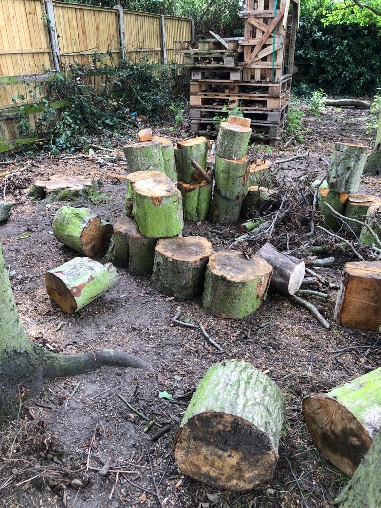 Outdoor Classroom Chairs & Desks!