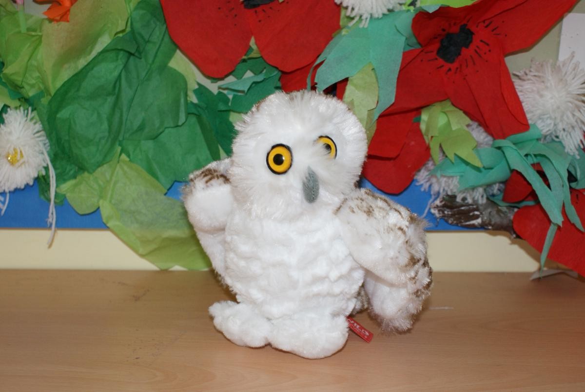 'Mirror' the Owl to represent reflection. 