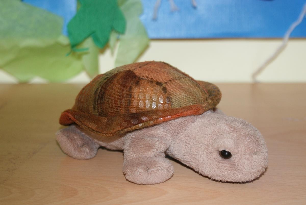 Meet Percy Perseverance!