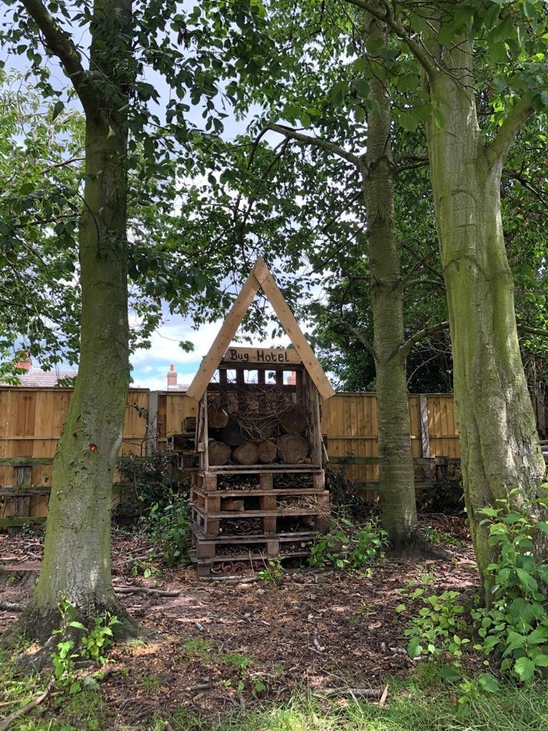 Our Bug Hotel