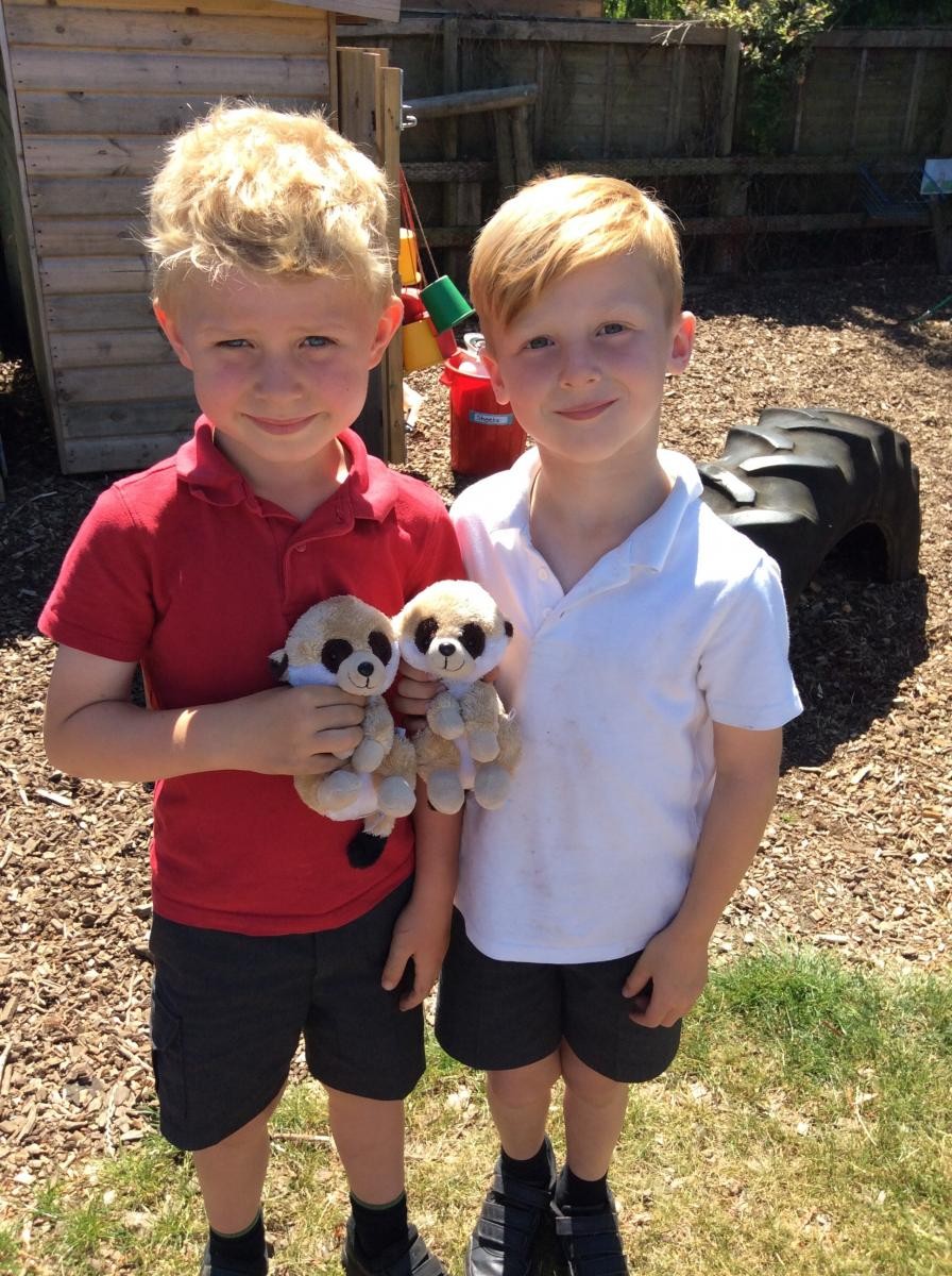 Our Meerkats are Reciprocal!
‘It’s good to communicate to find out different answers and to get higher in your learning’ (Sam Year 5)