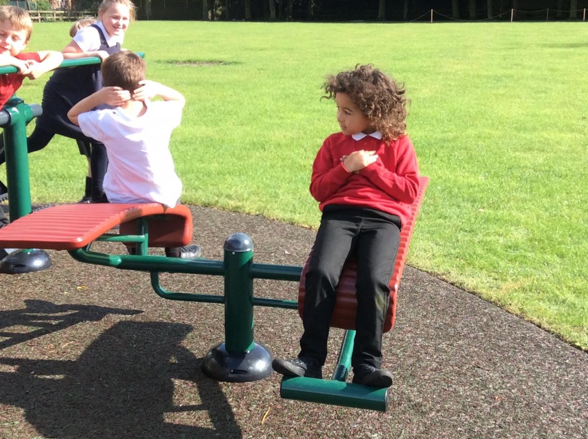 Sit Up Benches