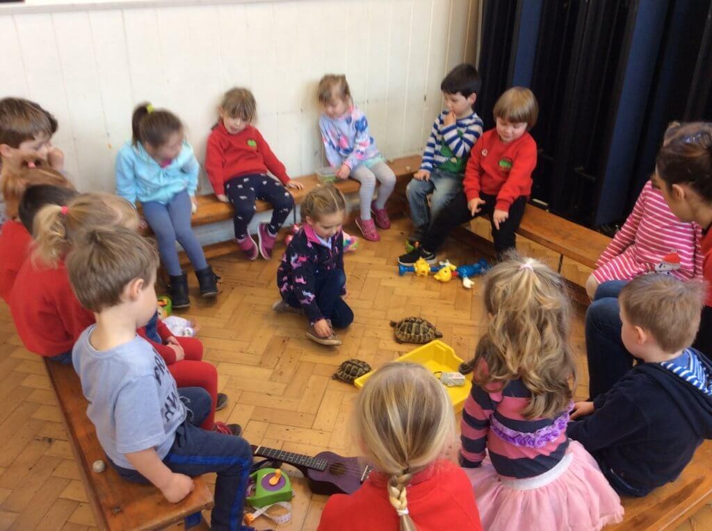 Pet tortoises came to circle time