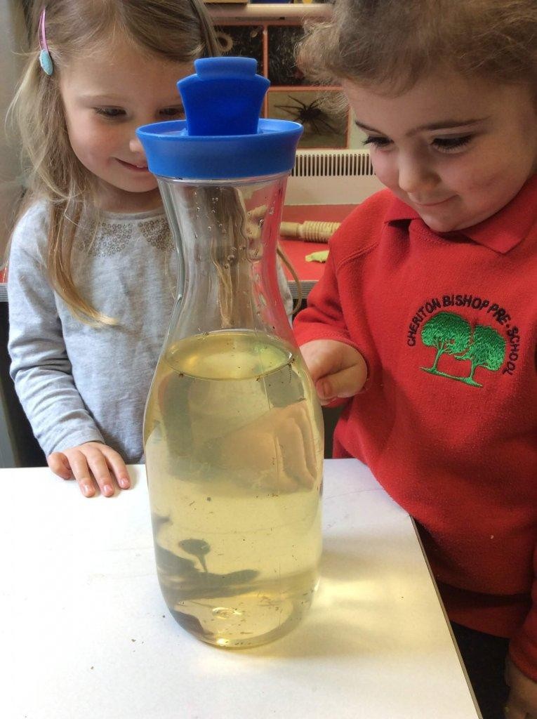 Observing tadpoles