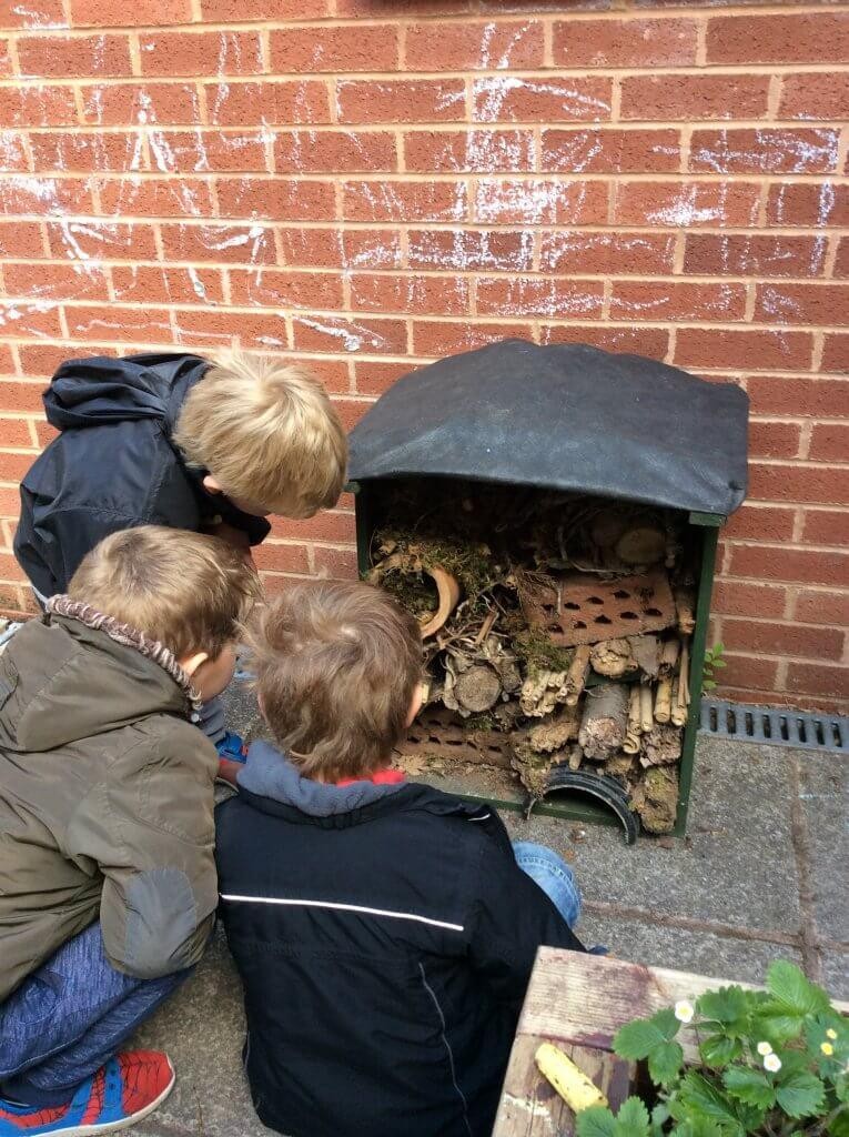 Our bug hotel