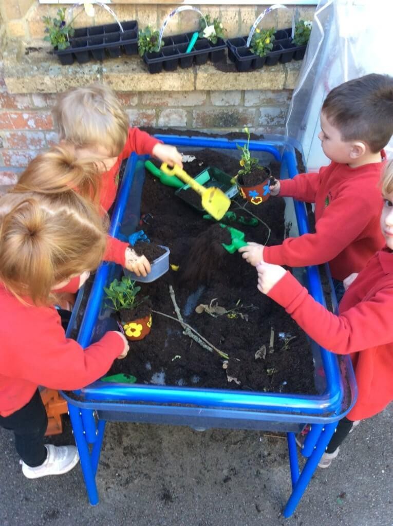 We learnt how to look after plants.
