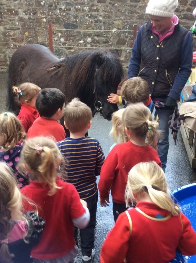 We learnt about our different pets