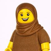 Mrs N Akhtar