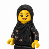 Miss S Aktar
