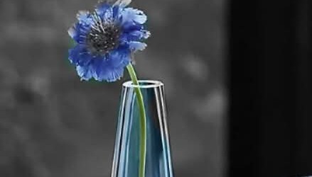 Digital art created using layering and colour removal techniques