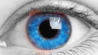 Digital art created using layering and colour removal techniques