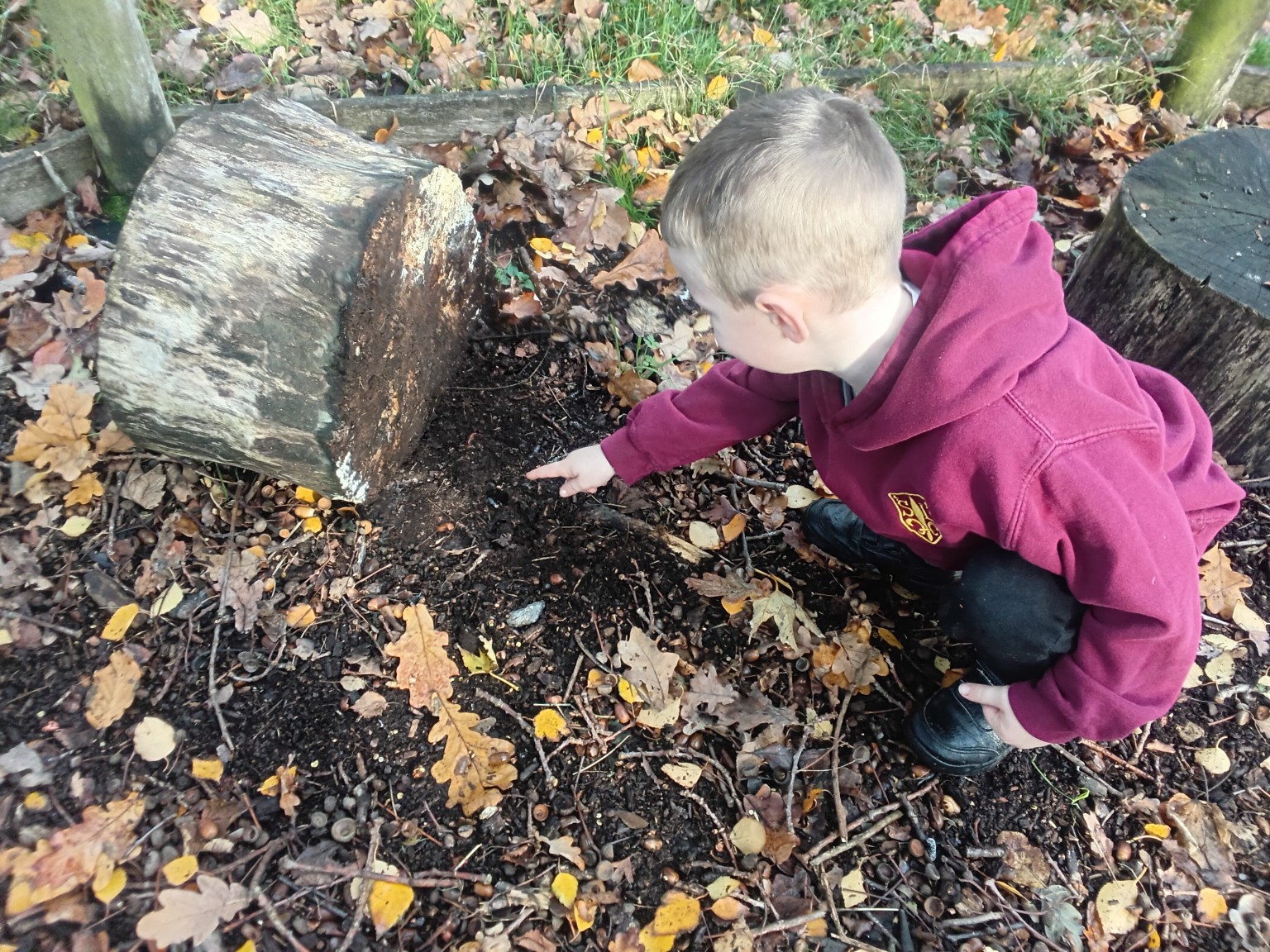 Hunting for minibeasts