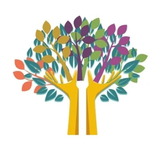 To know you more clearly branches
