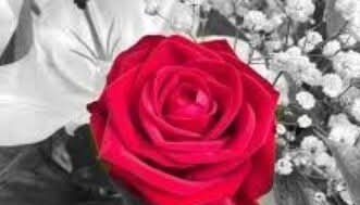 Digital art created using layering and colour removal techniques