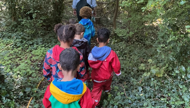 Children walking through woodland