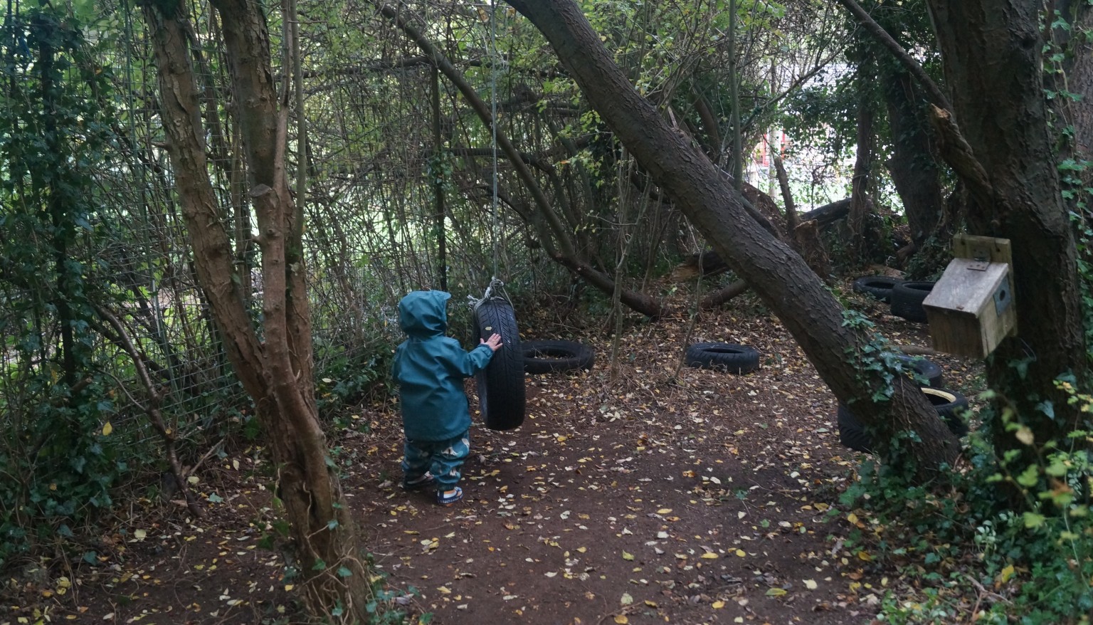 Child at the tree swing