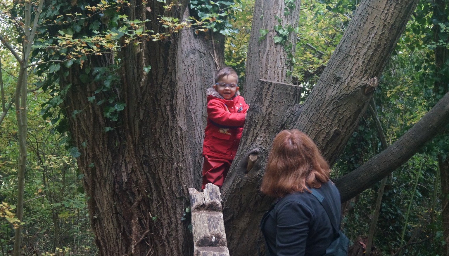 Child climbing in the trees