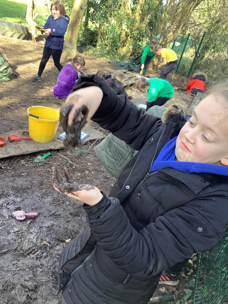 Investigation to determine soil type.