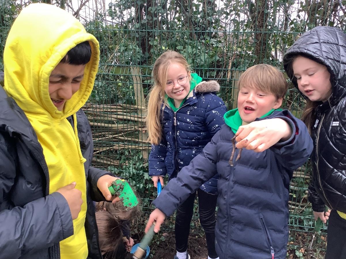 Worm identification.